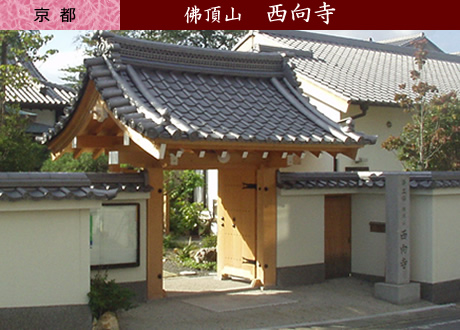 京都：西向寺